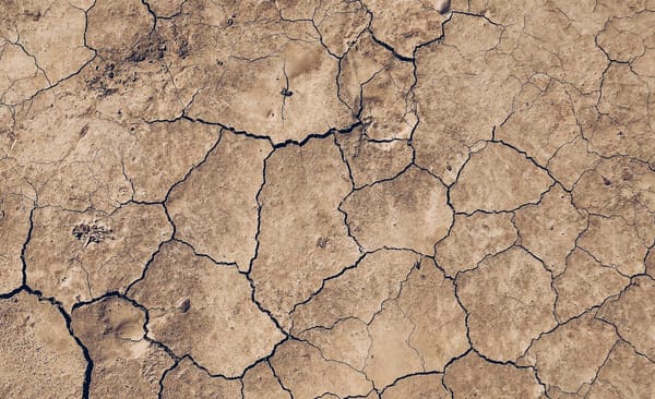 How to Choose the Right Somatic Practitioner for You: A Complete Guide